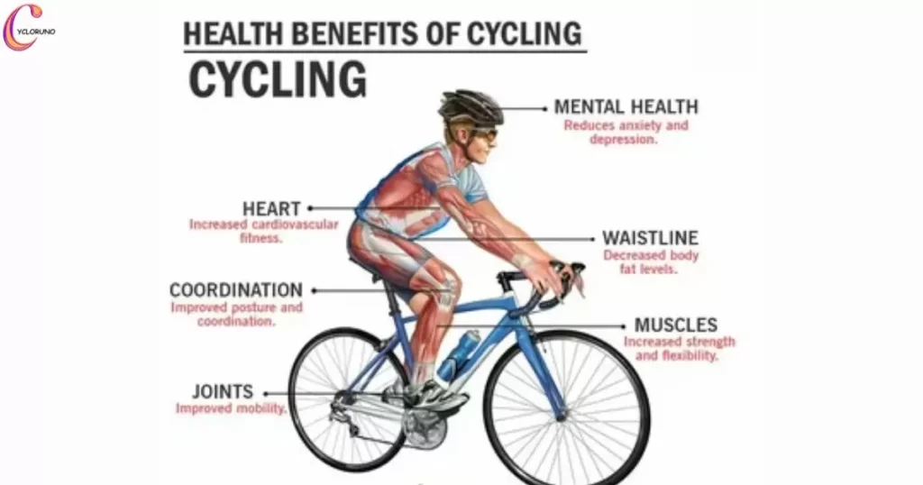 Understanding the Limitations of Cycling's Benefits